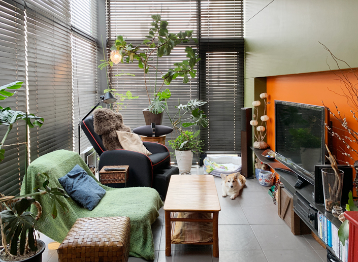 見学する「六甲の狭小住宅・神戸」2階リビング。開放的な空間にするため、壁2面が天井から床までの大きな開口となっており、ブラインドで入ってくる光の量を細かく調整できます 　設計／藤原誠司