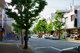 苦楽園口通り風景