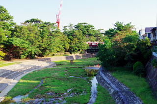 北夙川通り