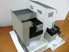 M邸模型