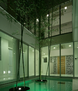 照明とハウスツリーにより幻想的な空間が生み出された水庭。（S邸1）