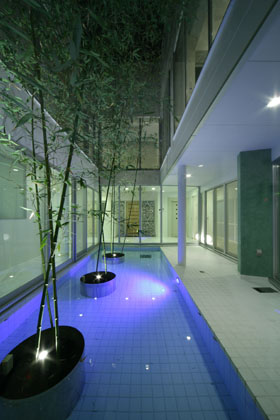 「岡本の家Ⅱ」水盤がある中庭。照明の仕込まれた竹の植栽により美術館のような雰囲気に仕立てられている。